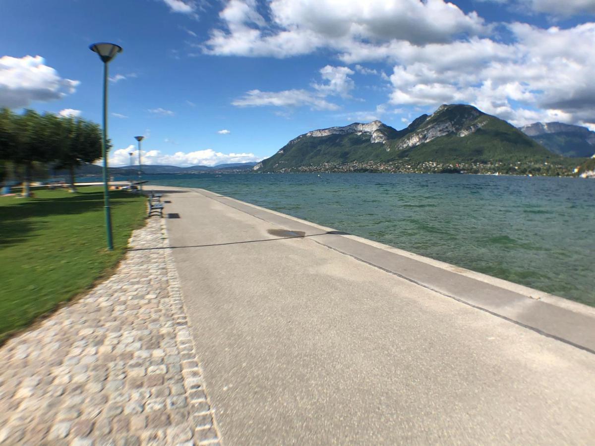 Entre Lac Et Montagne, Proche Centre De St Jorioz, Spacieux Et Confortable Appartement Avec Grande Terrasse Saint-Jorioz Luaran gambar